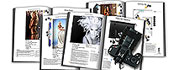 STC January 27th-29th Miami Seminar Workshop