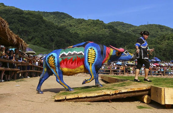 buffalo-bodypainting-1-568