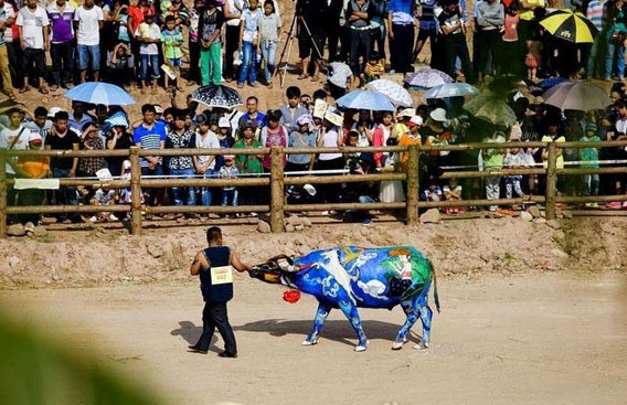 buffalo-bodypainting-3-568