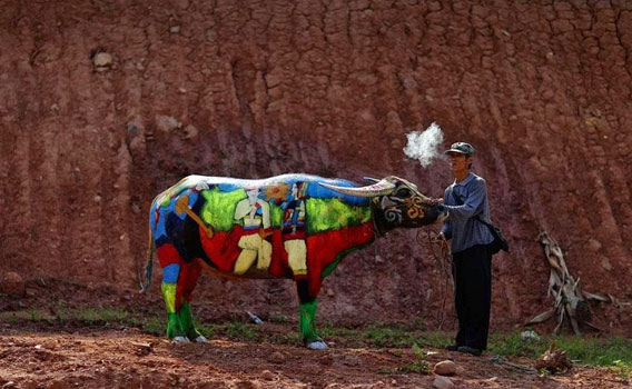 buffalo-bodypainting-9