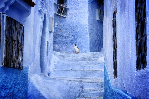 blue-streets-of-chefchaouen-morocco-4-660x439