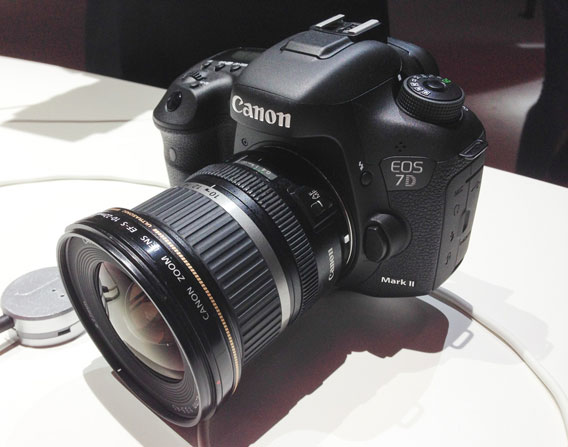 canon5DMarkII568