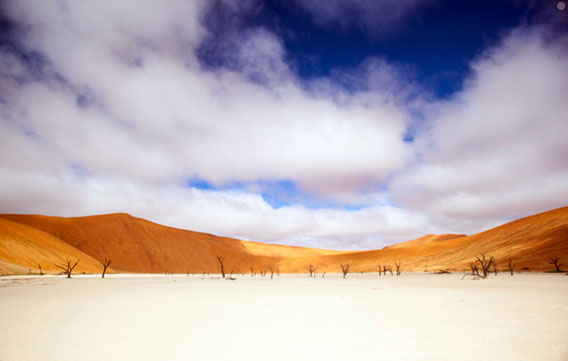 sossusvlei-valley-568