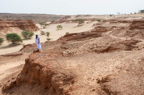 Mauritania-Railway_09-1-568