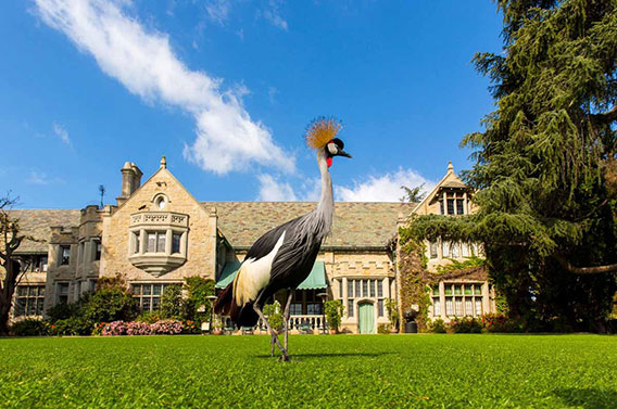 the-20000-square-foot-house-is-on-the-edge-of-the-los-angeles-country-club-in-the-holmby-hills-neighborhood-right-between-beverly-hills-and-westwood