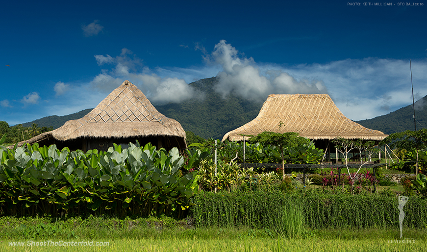 Keith-Milligan-Bali-landscape