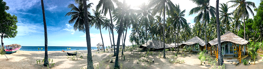 COCONUT-GARDEN-PANO-871